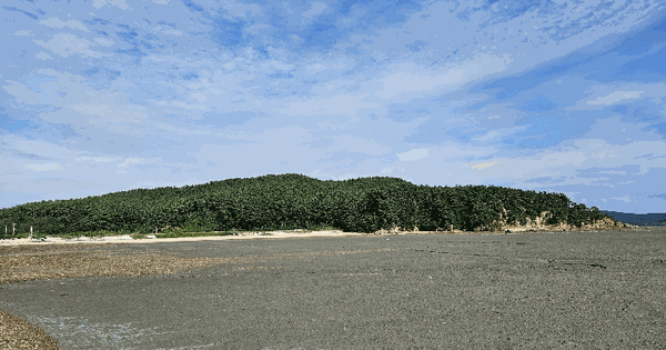 충청남도 서산시 대산읍 독곶리 산99 임야 경매 물건 이미지