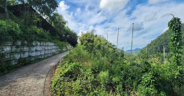 충청북도 영동군 양강면 만계리 218-1 전 경매 물건 이미지