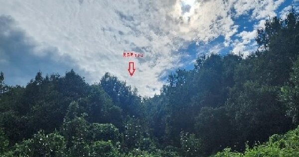 충청북도 영동군 학산면 봉림리 13-2 답 경매 물건 이미지