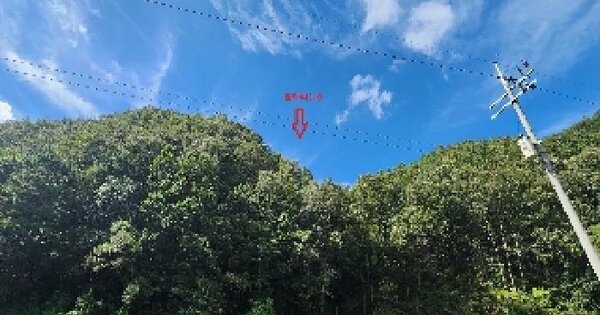 충청북도 영동군 학산면 범화리 319 전 경매 물건 이미지