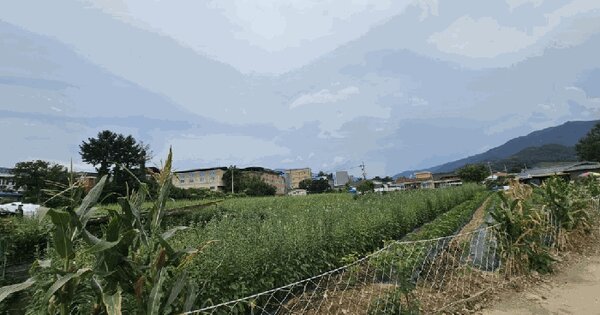 경상북도 영주시 풍기읍 교촌리 157-8 전 경매 물건 이미지