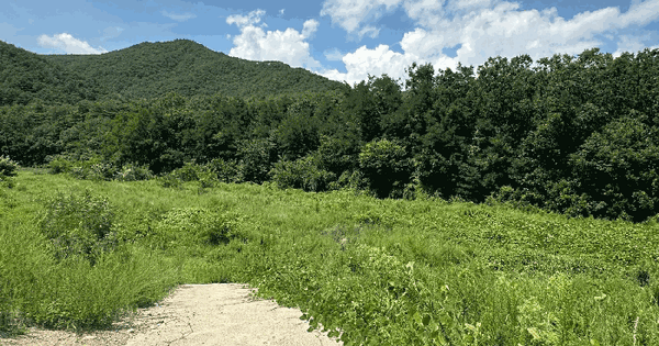 경상북도 영덕군 창수면 미곡리 769 답 경매 물건 이미지