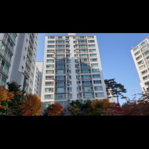 물건 사진