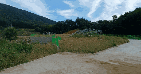 울산광역시 울주군 두동면 만화리 733-9 임야 경매 물건 이미지