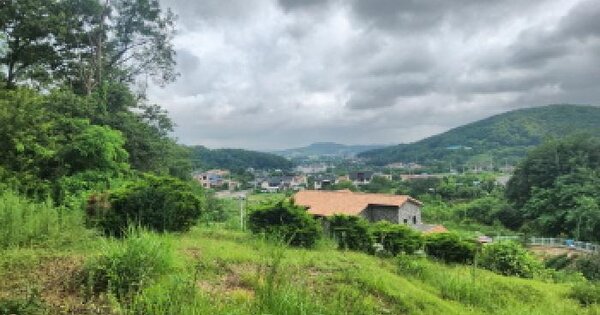 인천광역시 강화군 송해면 하도리 755-5 임야 경매 물건 이미지