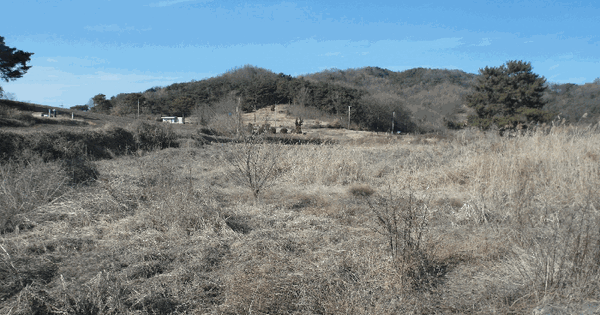 충청남도 논산시 연산면 사포리 83 답 경매 물건 이미지