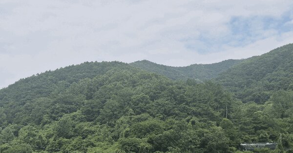 경상북도 청도군 운문면 봉하리 산81-1 임야 경매 물건 이미지