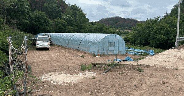 경상북도 영양군 석보면 택전리 642 답 경매 물건 이미지