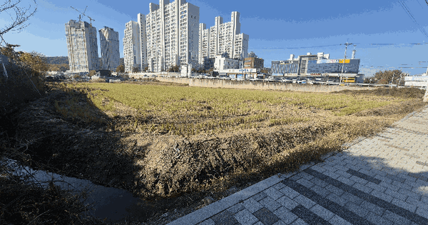 경상북도 고령군 다산면 좌학리 OOOO 답 경매 물건 이미지
