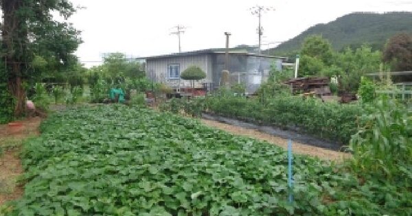 충청남도 태안군 태안읍 상옥리 972-28 임야 경매 물건 이미지