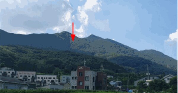 경기도 남양주시 조안면 능내리 산22 임야 경매 물건 이미지