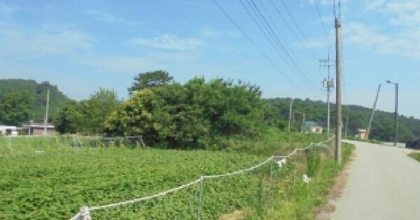 물건 대표 이미지