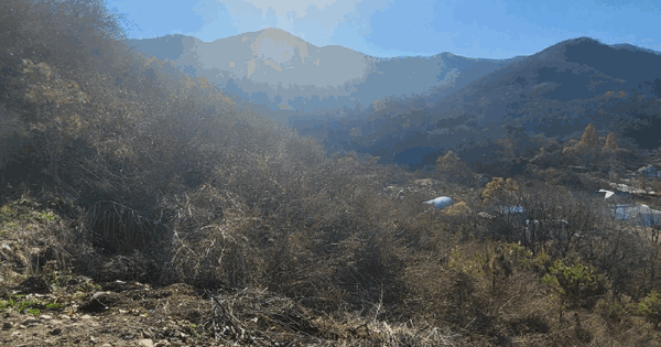 충청남도 공주시 반포면 마암리 16-14 임야 경매 물건 이미지