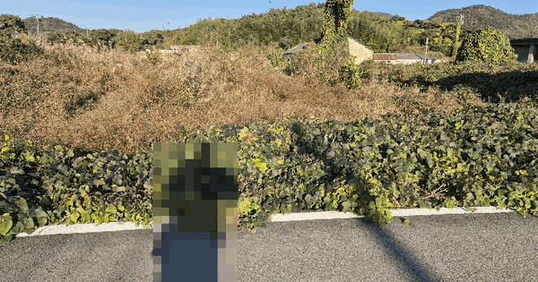 경상남도 고성군 동해면 양촌리 621-9 답 경매 물건 이미지