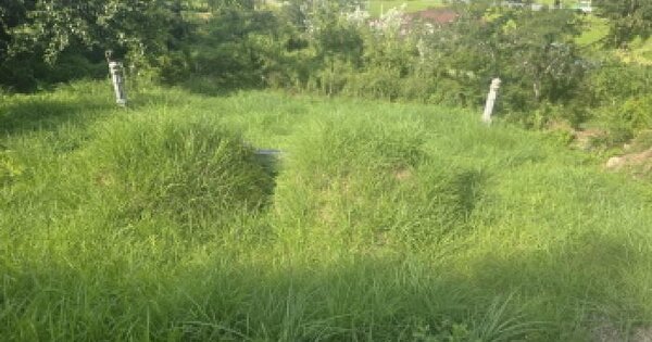 울산광역시 울주군 상북면 명촌리 422 답 경매 물건 이미지