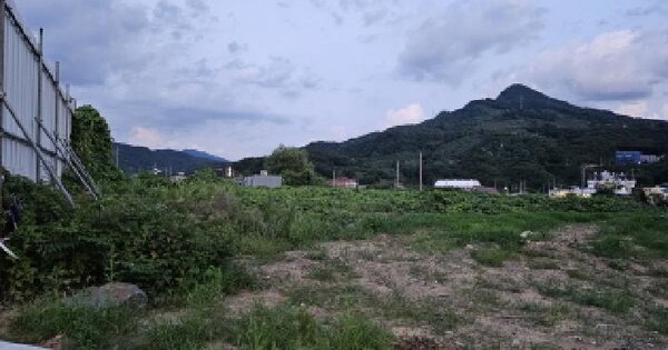충청북도 충주시 동량면 조동리 1430-2 답 경매 물건 이미지