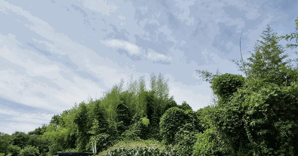 부산광역시 기장군 철마면 연구리 산80 임야 경매 물건 이미지
