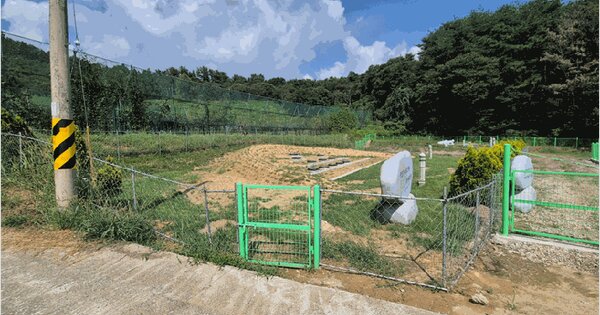 경상남도 하동군 양보면 통정리 848-2 전 경매 물건 이미지