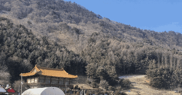 강원특별자치도 평창군 진부면 하진부리 374-4 전 경매 물건 이미지