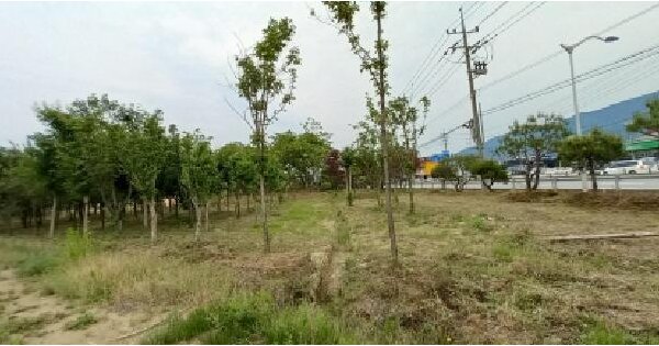 경기도 포천시 어룡동 415-11 전 경매 물건 이미지