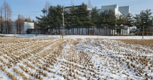 충청남도 당진시 송악읍 한진리 350-1 답 경매 물건 이미지