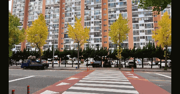 부산광역시 사상구 주례동 595 럭키아파트 5동 14층1408호 아파트 경매 물건 이미지