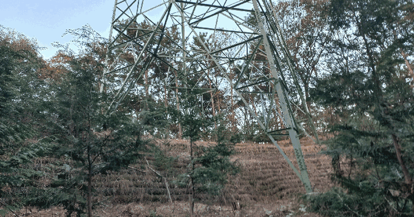 세종특별자치시 전동면 청람리 산83-1 임야 경매 물건 이미지