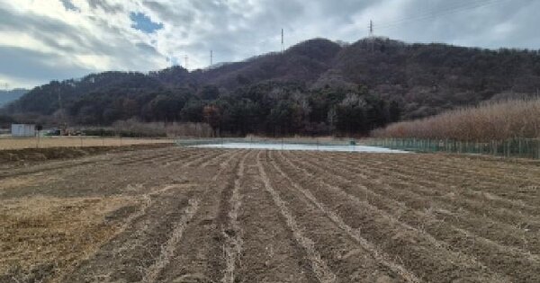 경기도 포천시 신북면 덕둔리 588 답 경매 물건 이미지