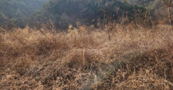 경상북도 영천시 화남면 월곡리 407 대지 경매 물건 이미지