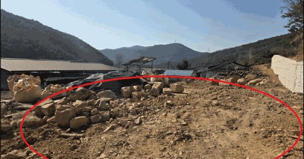 대구광역시 달성군 구지면 오설리 328 대지 경매 물건 이미지