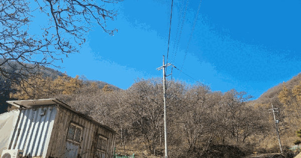 경기도 광주시 곤지암읍 열미리 산140 임야 경매 물건 이미지