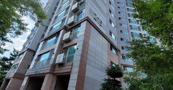 경기도 용인시 기흥구 공세동 714 탑실마을대주피오레2단지 215동 9층905호 아파트 경매 물건 이미지