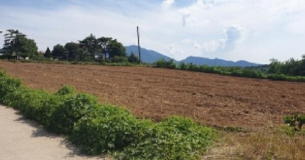 충청남도 홍성군 광천읍 운용리 591 임야 경매 물건 이미지
