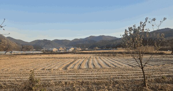 경기도 파주시 적성면 장현리 387 전 경매 물건 이미지