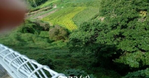 부산광역시 기장군 장안읍 덕선리 산269-20 임야 경매 물건 이미지