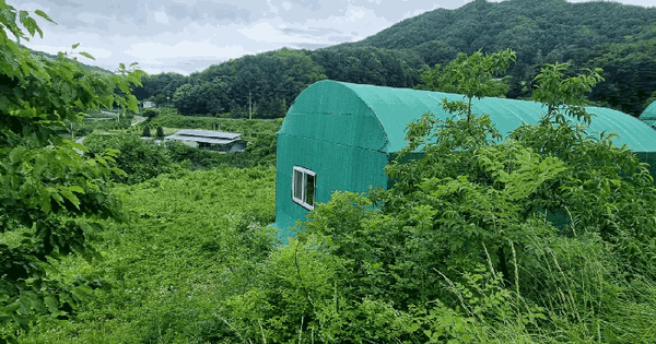 경상북도 문경시 동로면 석항리 285 답 경매 물건 이미지