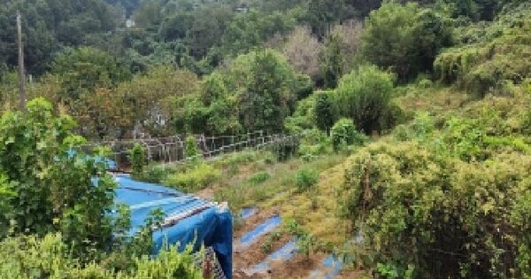 충청북도 옥천군 동이면 세산리 산63-4 임야 경매 물건 이미지