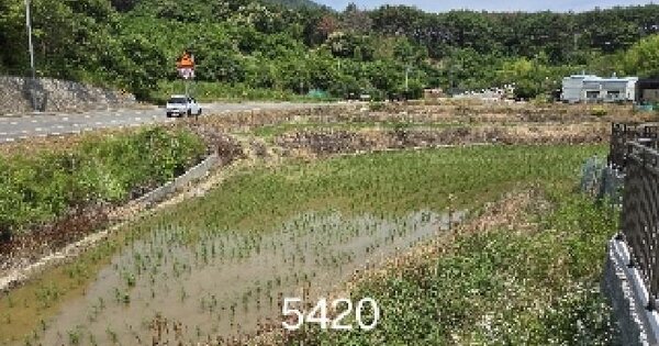 부산광역시 기장군 일광읍 청광리 335-1 답 경매 물건 이미지