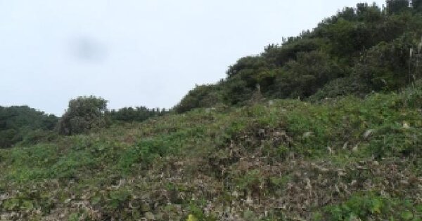 충청남도 태안군 고남면 고남리 883 전 경매 물건 이미지