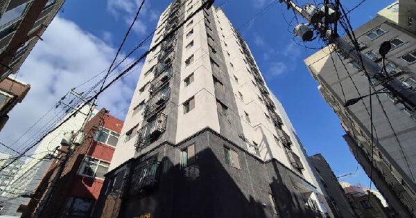 서울특별시 은평구 신사동 29-160 에스엠벨리체  5층501호 오피스텔 경매 물건 이미지
