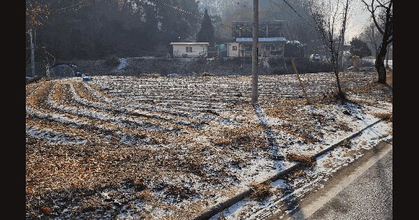 충청북도 충주시 엄정면 미내리 223 전 경매 물건 이미지