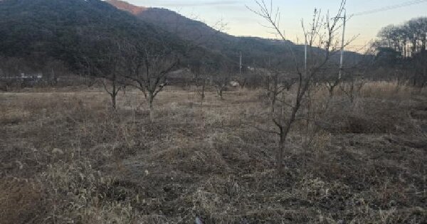 경상북도 칠곡군 기산면 봉산리 923 전 경매 물건 이미지