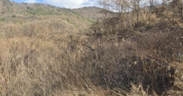 충청북도 충주시 연수동 20-20 과수원 경매 물건 이미지