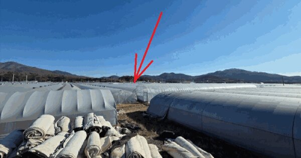 경상북도 성주군 월항면 안포리 1073 답 경매 물건 이미지