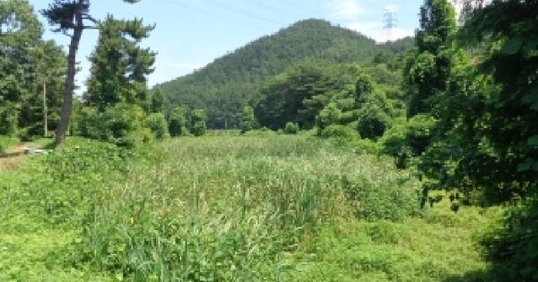 충청남도 서산시 팔봉면 호리 474-3 답 경매 물건 이미지