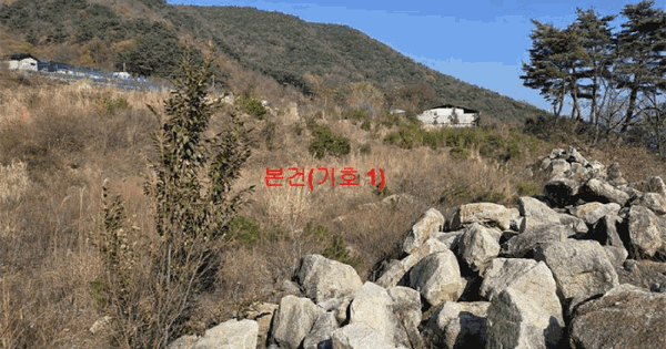 경상남도 함양군 함양읍 웅곡리 산63-3 임야 경매 물건 이미지
