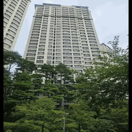 물건 사진