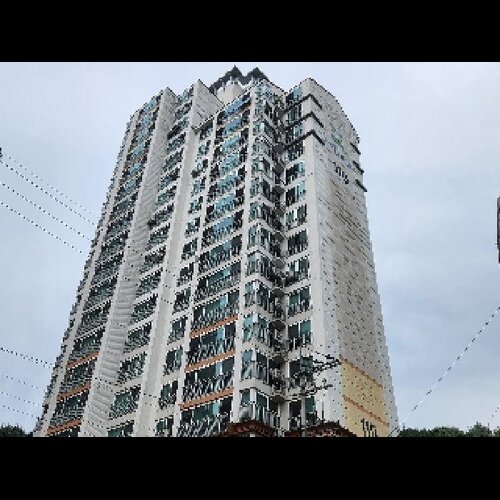 물건 사진