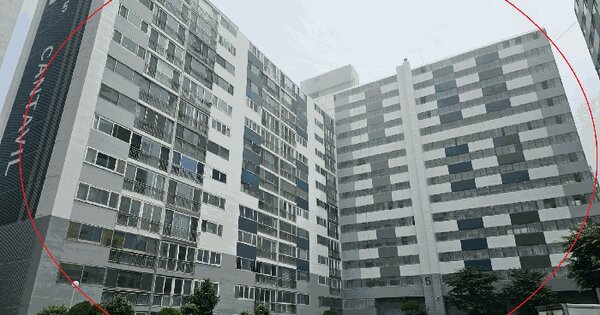 부산광역시 영도구 영선동4가 245-1 영도대원아파트 5동 13층1507호 아파트 경매 물건 이미지