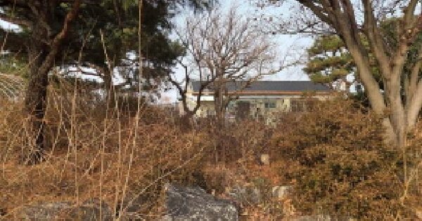 충청남도 천안시 서북구 성거읍 모전리 270-2 과수원 경매 물건 이미지